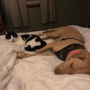 Meet your Posher, Jacqui